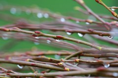 IMG_0076