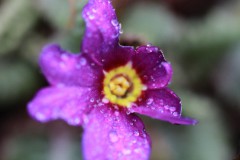 IMG_9620