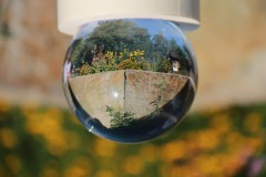 IMG_9872