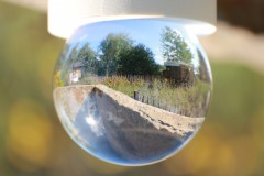 IMG_9880