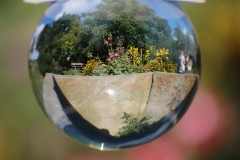 IMG_9883