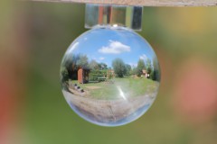 IMG_9892