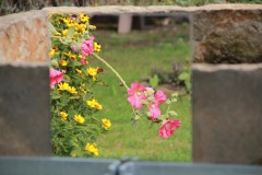 IMG_9925