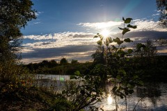IMG_7143