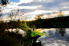 IMG_7156
