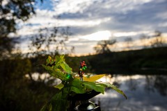 IMG_7157