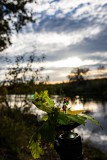 IMG_7166