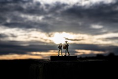 IMG_7179