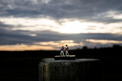 IMG_7181