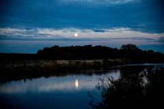 IMG_7215