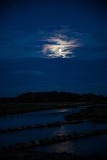 IMG_7244