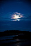 IMG_7247