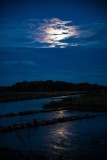 IMG_7248