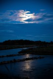 IMG_7251