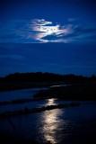 IMG_7253