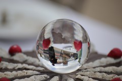 IMG_8910