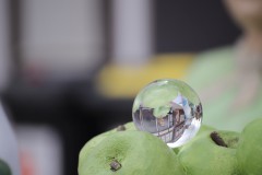 IMG_8918