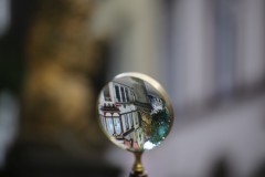 IMG_9017