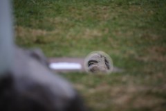 IMG_9046
