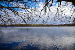 IMG_5425