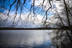IMG_5427