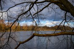 IMG_5441