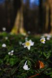 IMG_5493