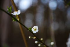 IMG_5503