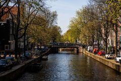 IMG_1617