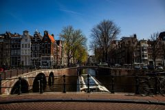 IMG_1618