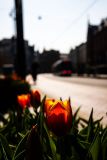 IMG_1638