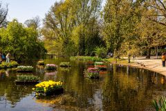 IMG_1674