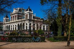 IMG_1678