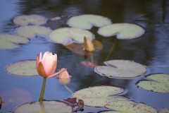 IMG_8162