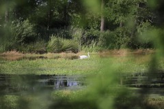IMG_8170