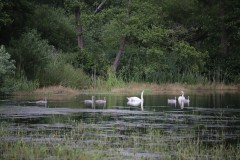 IMG_8207