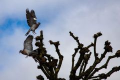 IMG_5705