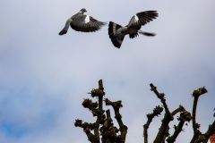 IMG_5711