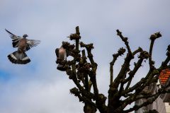 IMG_5714