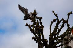 IMG_5715