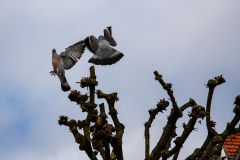 IMG_5716