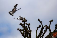 IMG_5717