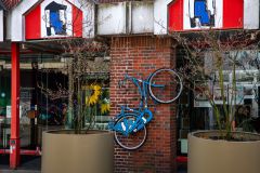 IMG_5734