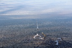 IMG_3965