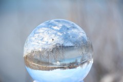 IMG_3987