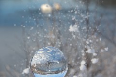 IMG_3992
