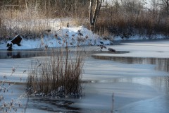 IMG_4024