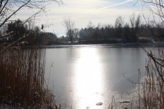 IMG_4039