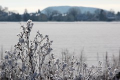 IMG_4064