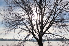 IMG_4076